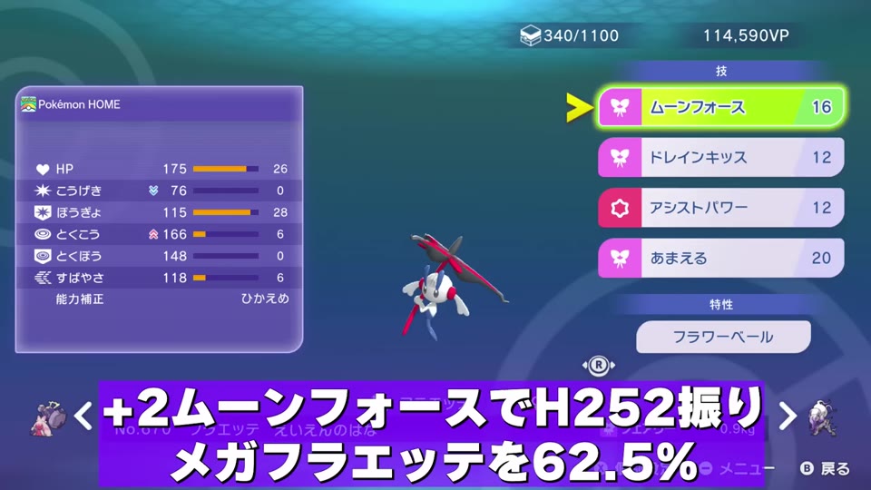 メガフラエッテの調整と技構成