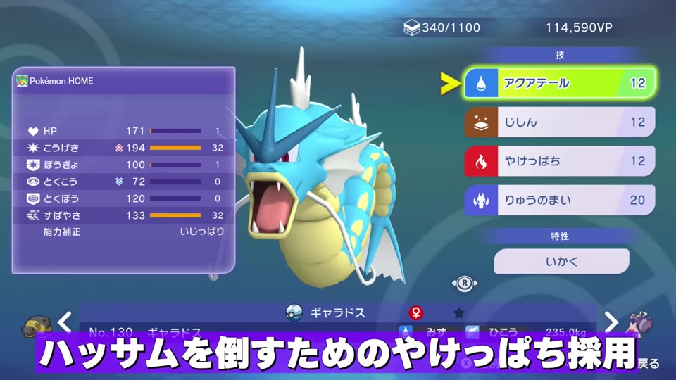 メガギャラドスの調整と技構成