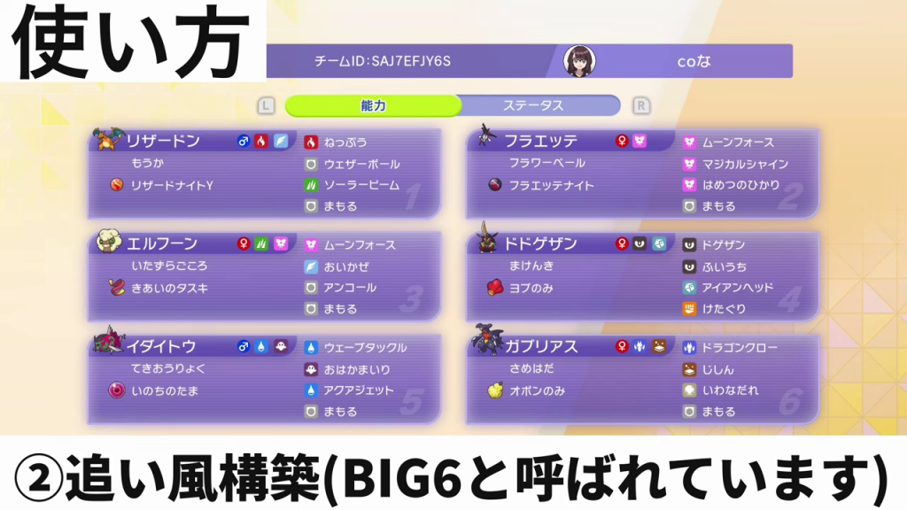 cona式追い風BIG6の6匹