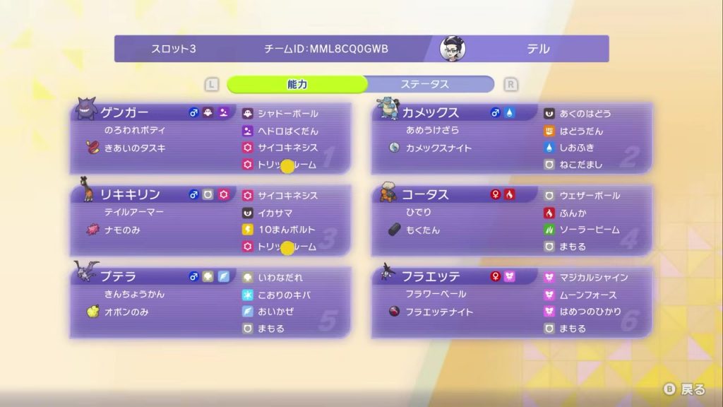 メガフラエッテ+メガカメックス構築の6匹