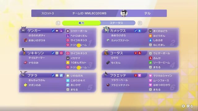 メガフラエッテ＋メガカメックス構築の6匹