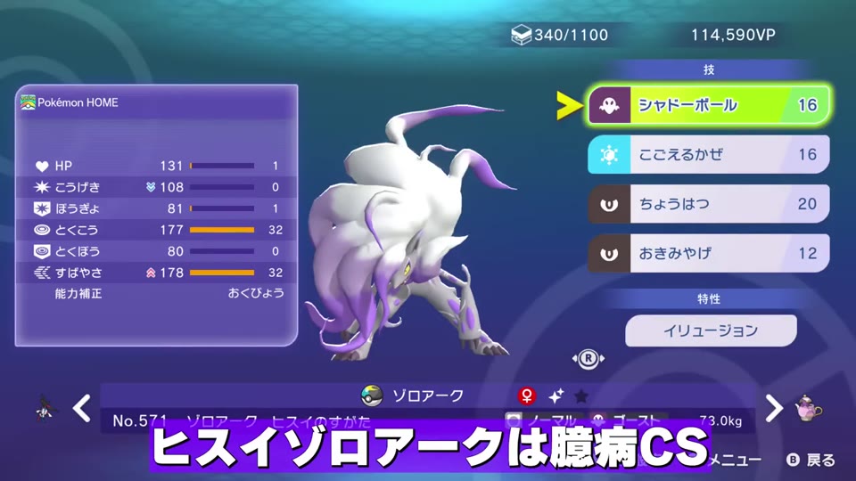 ヒスイゾロアークの調整と技構成