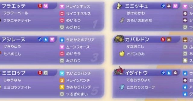 フラエッテ＋ミミッキュ対面構築｜6体育成・役割・基本選出の構築画像