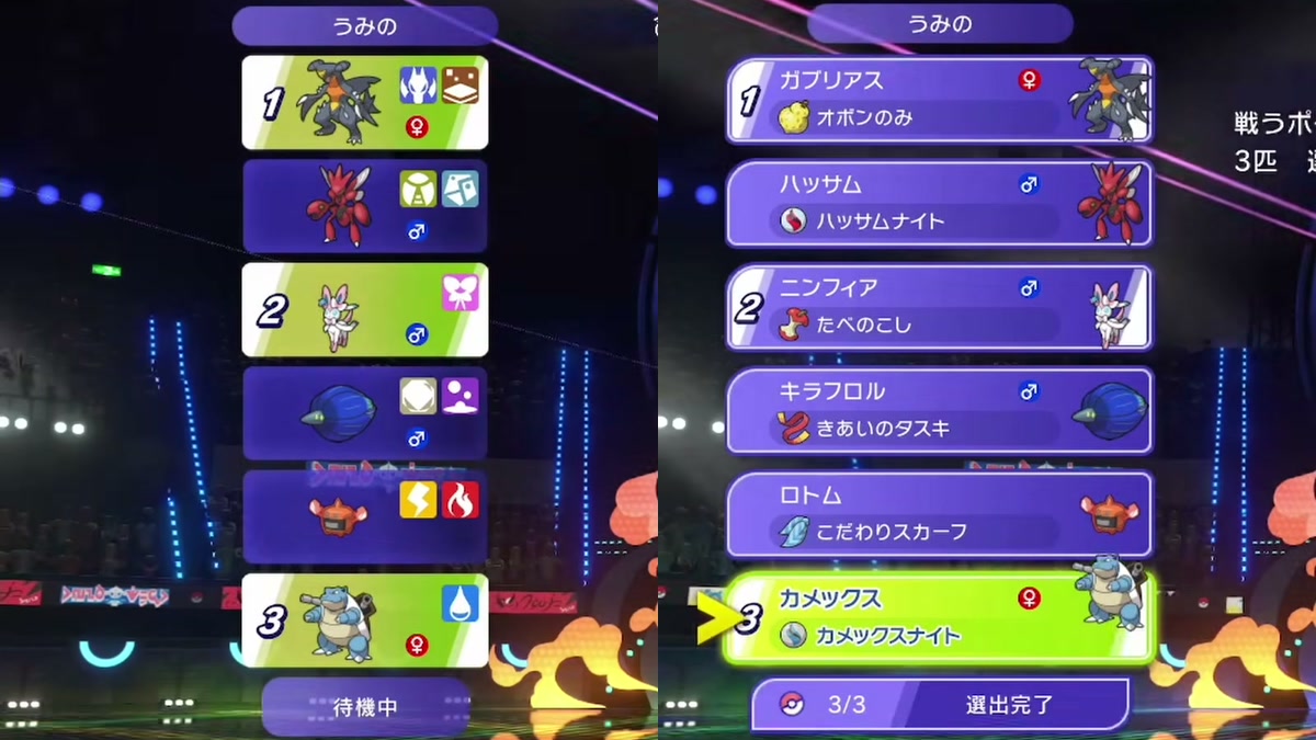 2試合でガブリアス、ニンフィア、カメックスを同じ順に選んだ画面