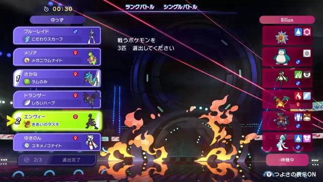 3戦目のギャラドス エンニュート メガニウム選出