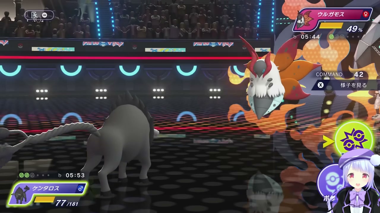 ケンタロス（パルデア炎）とウルガモスの対面