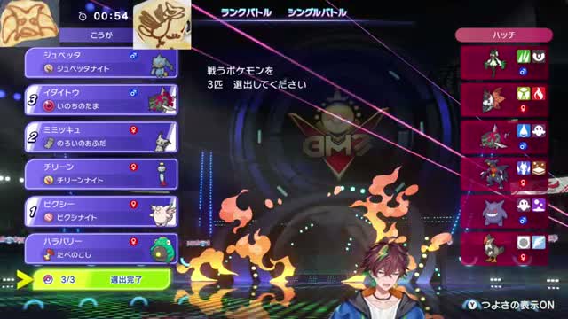 メガジュペッタ、イダイトウ、ミミッキュを選出した画面