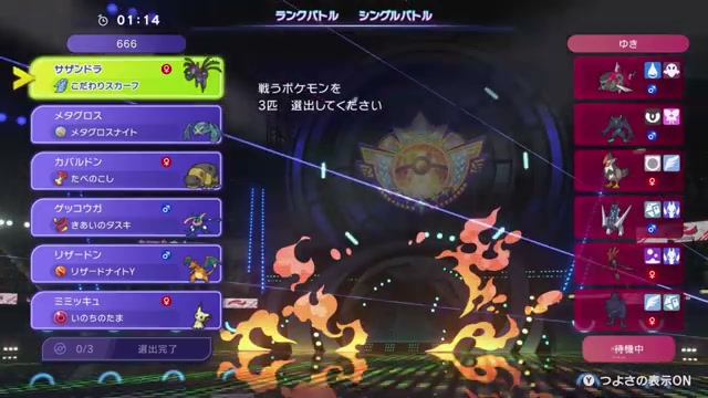 サザンドラ×メガメタグロス構築｜相性補完と2試合の立ち回り【シングル】の構築画像